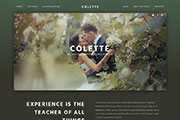 Example Style 6